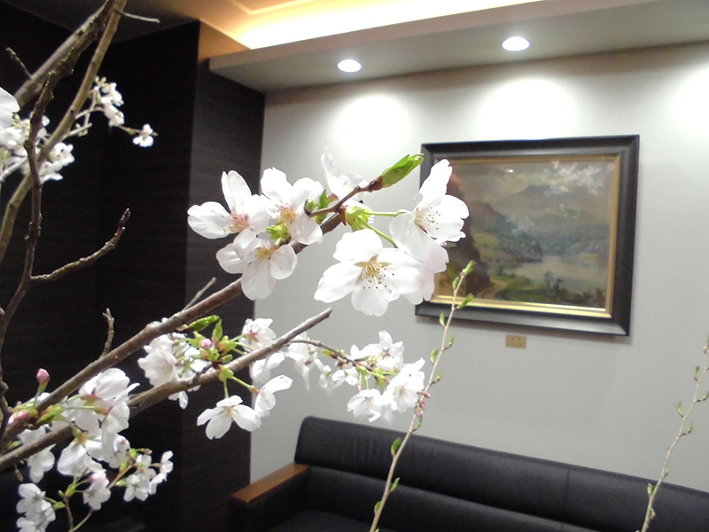 桜1