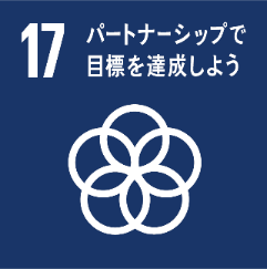 sdgs 17